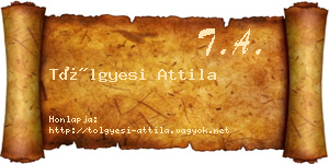 Tölgyesi Attila névjegykártya